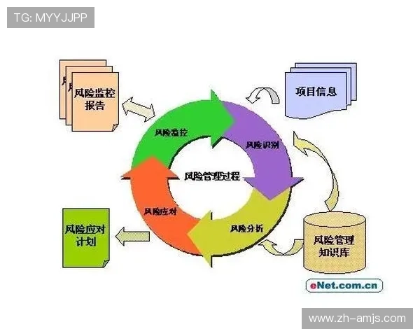 中国金沙集团在国内外投资项目中的成功经验与风险控制策略